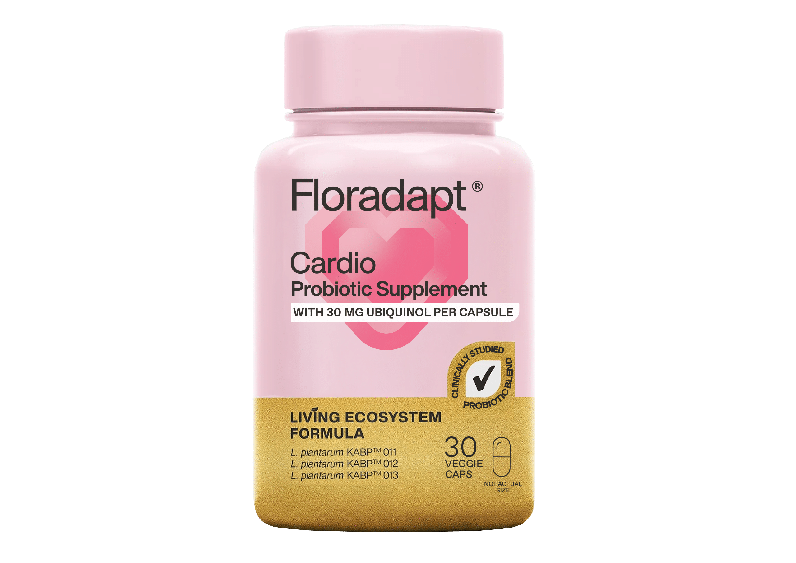 Cardio (One Time Purchase)