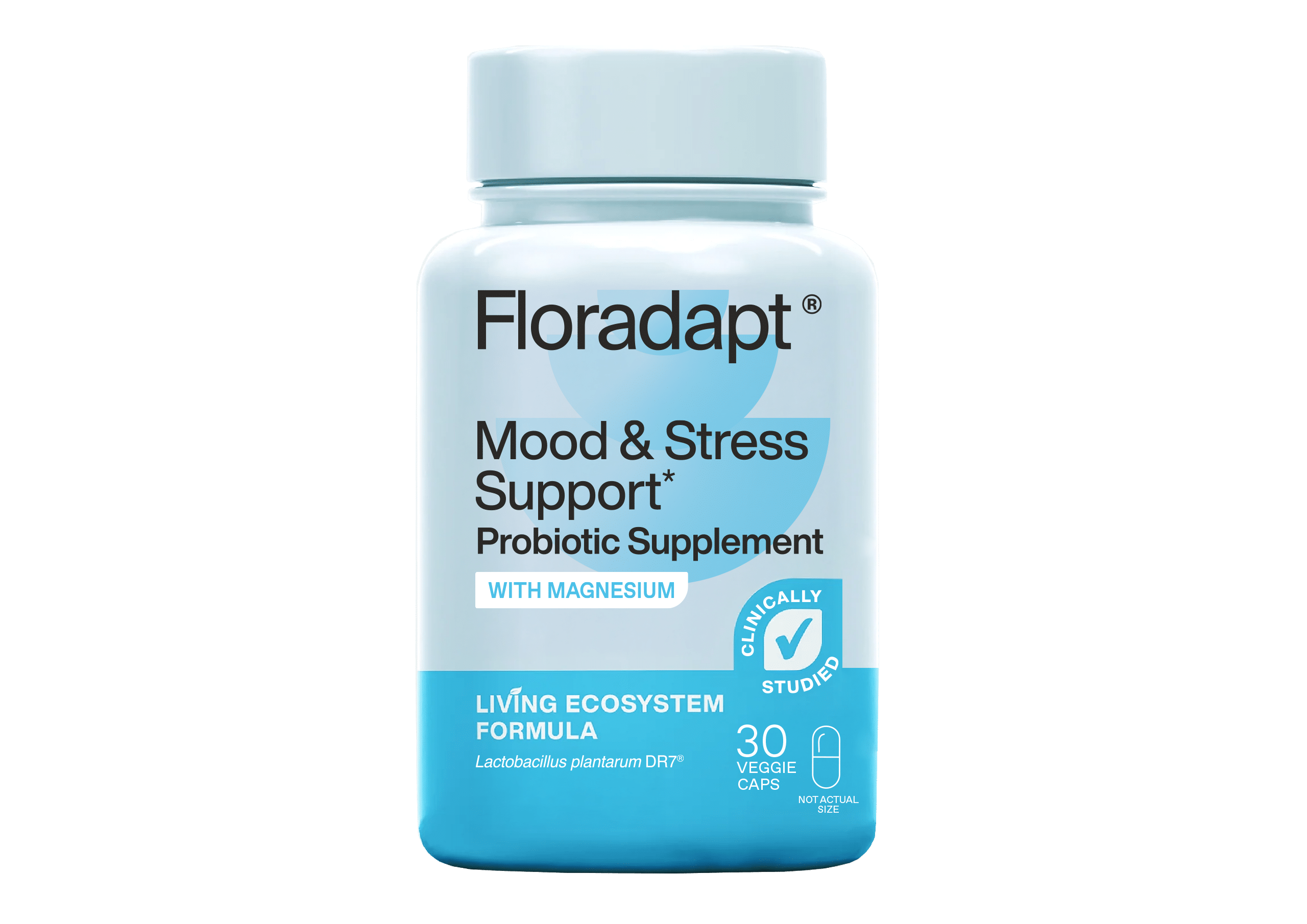 Mood & Stress Probiotic (One Time Purchase)